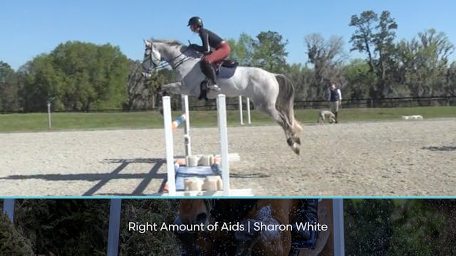 Right Amount of Aids | Sharon White