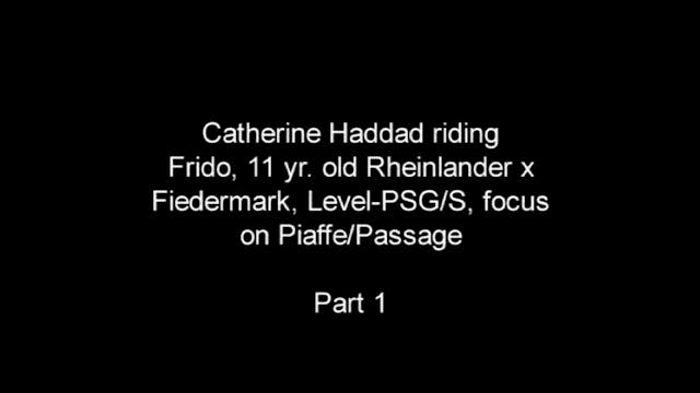 Focus on Piaffe/Passage, Level-PSG/S ...