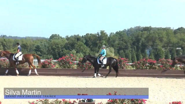 Dressage Is A Numbers Game - Part 4