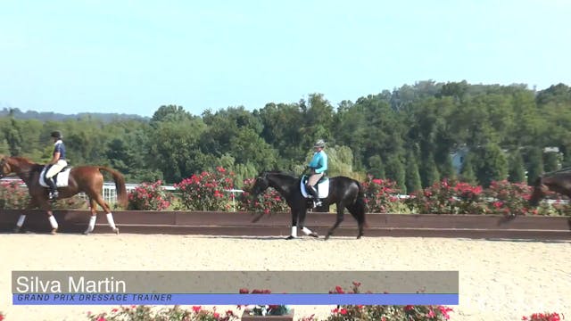 Dressage Is A Numbers Game | Carl Hes...