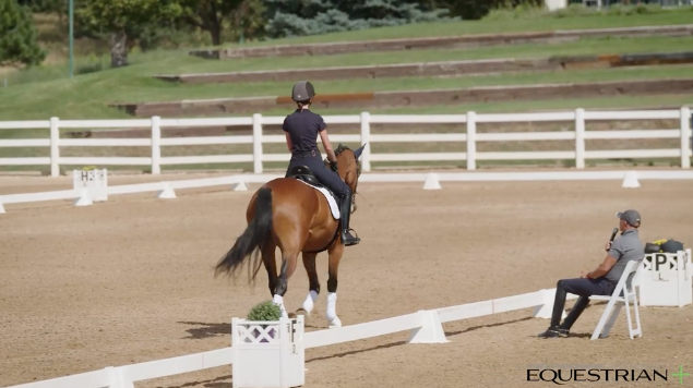 Training/First Level | Steffen Peters | Colorado Clinic Day 1