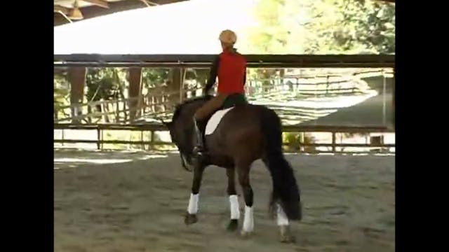 Alex Gerding training Gundi Younger a...