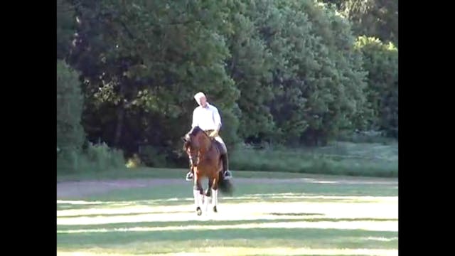 Jan Bemelmans - Rhythm in Passage, Pa...