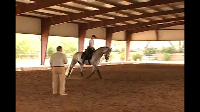 FarmVet/USDF Adult Clinic: Moving Up ...