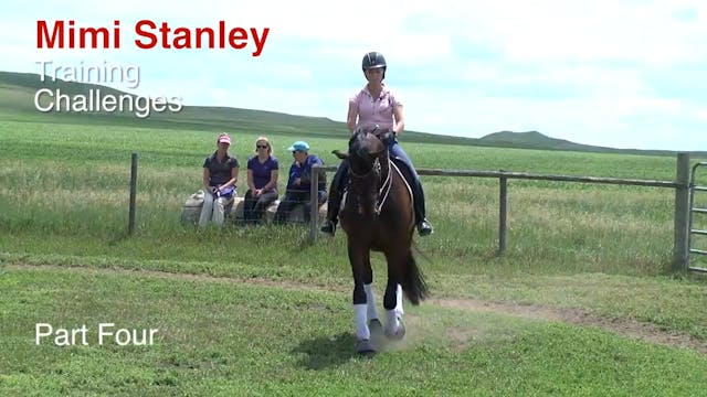 Training Challenges | Mimi Stanley | ...