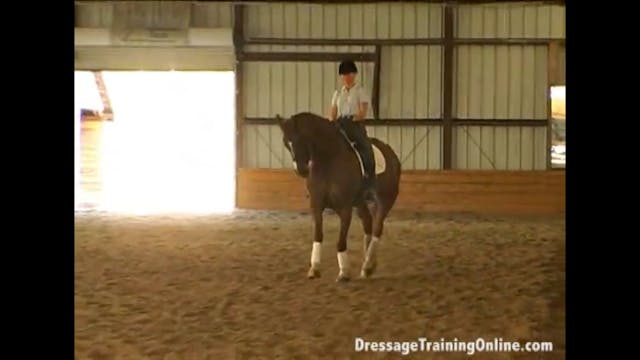 Getting to Know Professional Groom La...