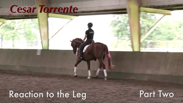 Reaction to The Leg | Cesar Torrente ...