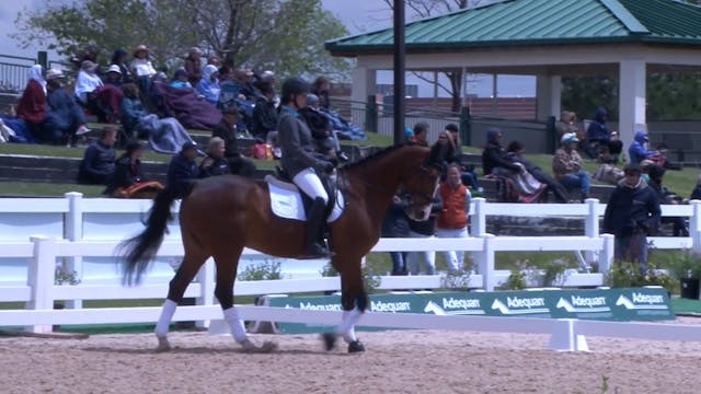 Training Level | Steffen Peters | PAR...