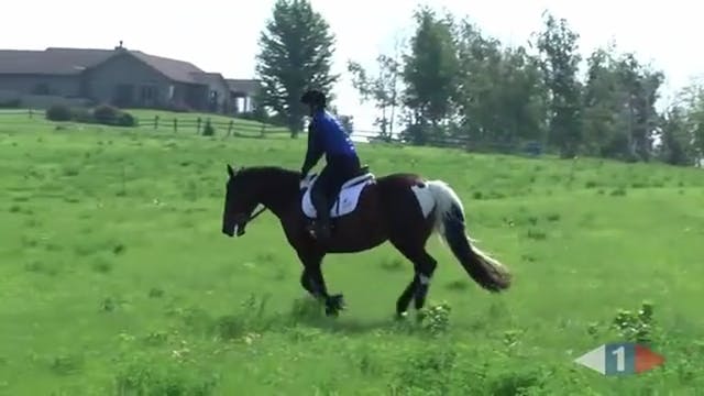 Novice Galloping Ditches | Kim Severs...