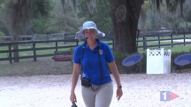 Gait quality on Grand Prix horse Part 2