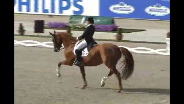 World Equestrian Festival, Freestyles...