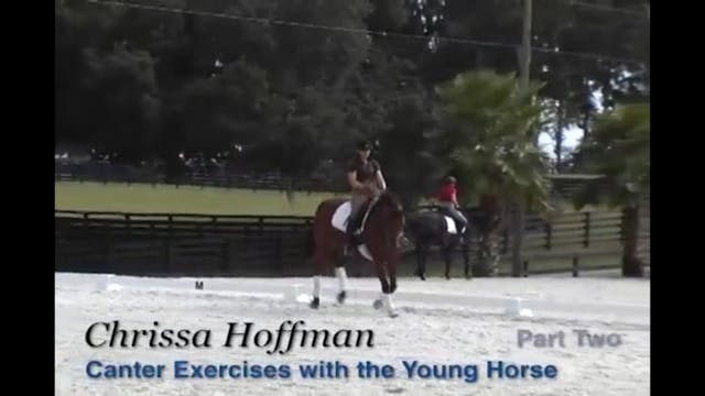 Canter Exercises for the Young Horse ...