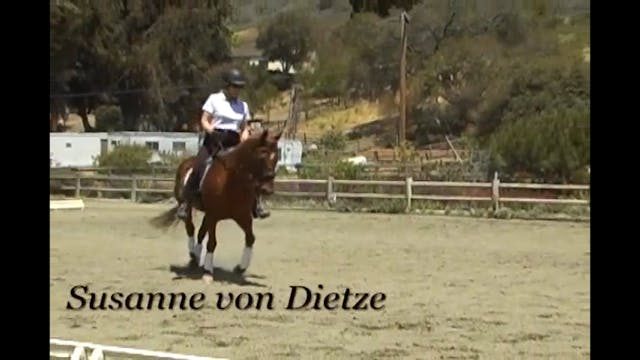 Rider Position - Balance | Susanne vo...