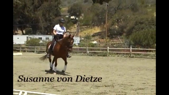 Rider Position - Balance with Susanne...