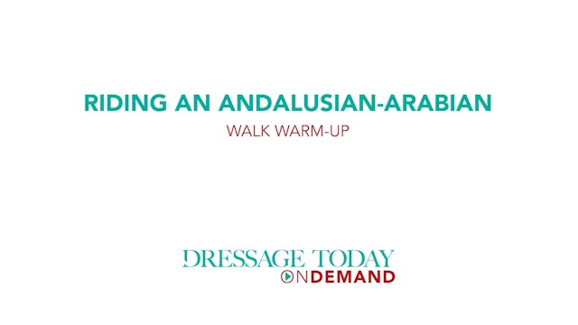 Riding an Andalusian-Arabian Walk Warm-up