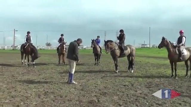 Katrin training Saxson Koenig part 2