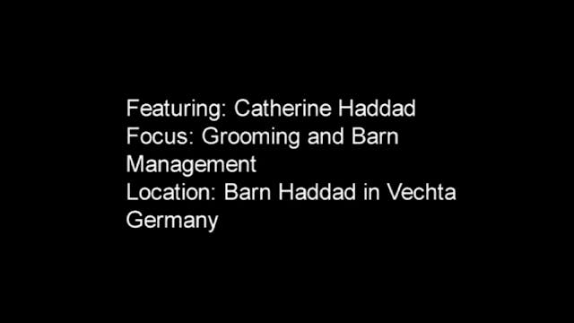 Green Rider on Upper Level School Hor...