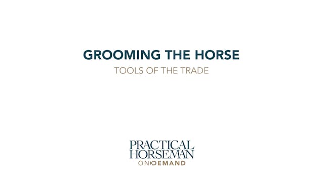 Grooming the Horse: Finishing Touches