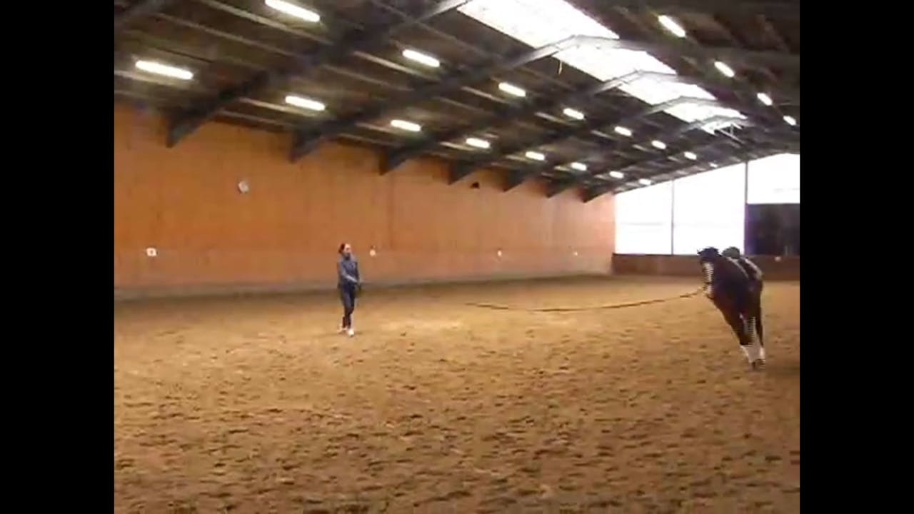 Proper lunging of the three year old with Catherine Haddad Part 2 Equestrian+
