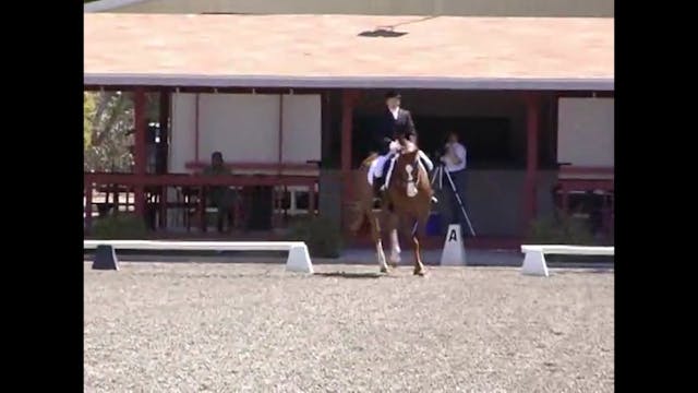 Marlene Schneider judging Fourth Leve...