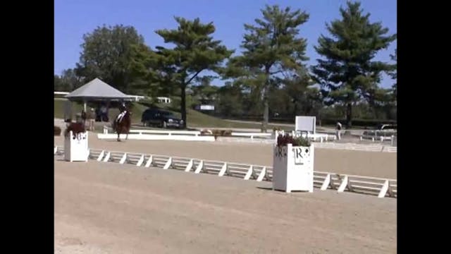 Judging FEI Developing Horse Test wit...