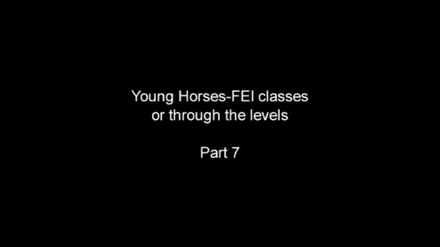 Young Horses FEI classes | Steffen Pe...