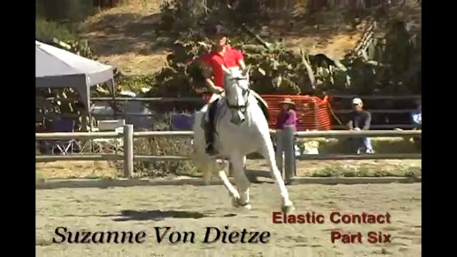 Training Basics, Elastic Contact | Su...