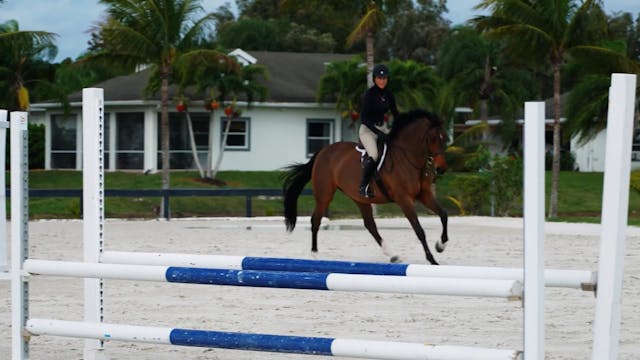 Riding Counter Canter | Kristy Herrera