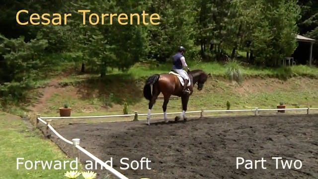 Forward and Soft | Cesar Torrente | P...