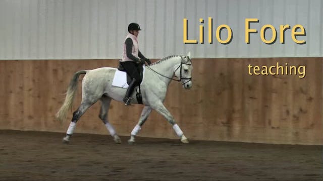 Lilo Fore - Training Level, Contact, ...