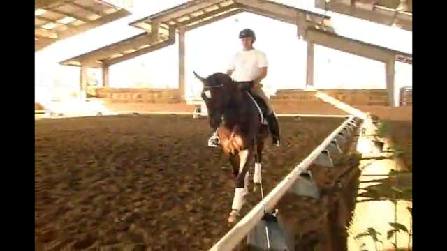 FEI, Adjustability, Tempi Changes | J...