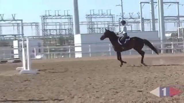 Making Your Horse Adjustable | Philli...