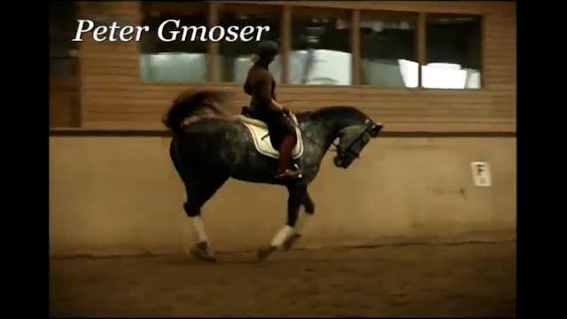 Progressive Training | Peter Gmoser |...