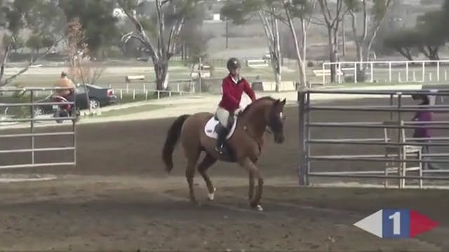 Rideability Exercises Over Fences | B...