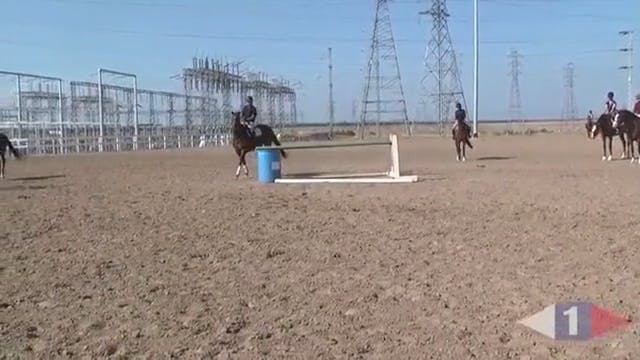 Making Your Horse Adjustable | Philli...