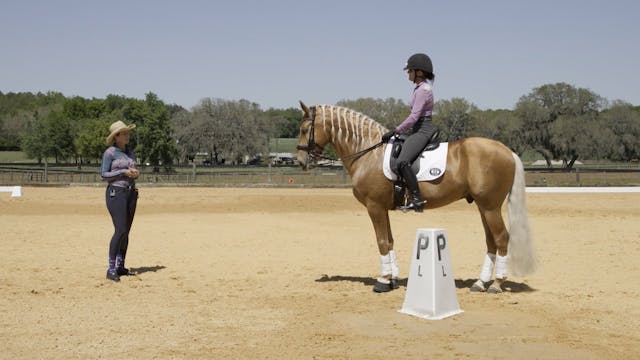 Grand Prix Level Rider Biomechanics P...