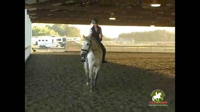 Getting the horse lighter in the cont...