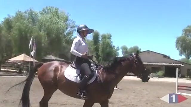 Daily Tuning For The Event Horse | Ta...