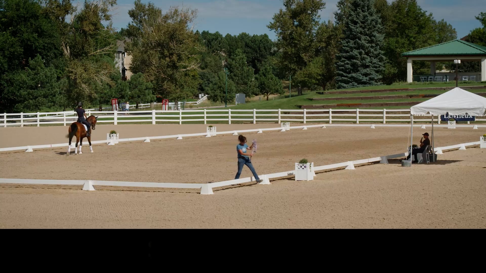 Training/First Level | Steffen Peters | Colorado Clinic Day 2