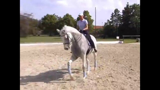 Canter pirouettes