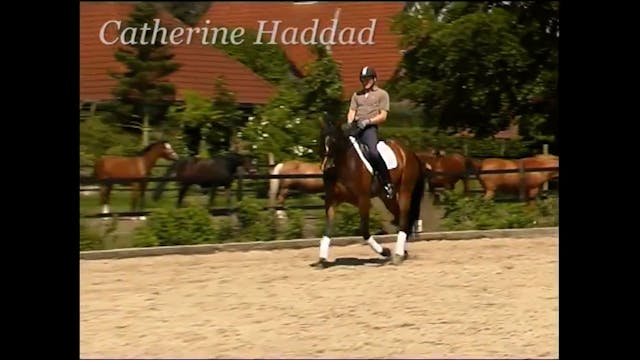 Six Year Old Mare | Catherine Haddad ...