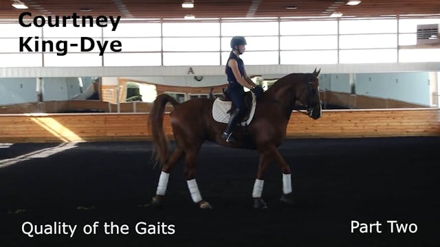 Quality of the Gaits | Courtney King-...