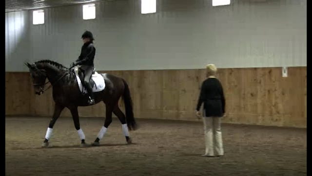 Riding the experienced horse - 2/2012...