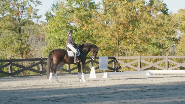 Schooling a Prix St. Georges Horse – ...