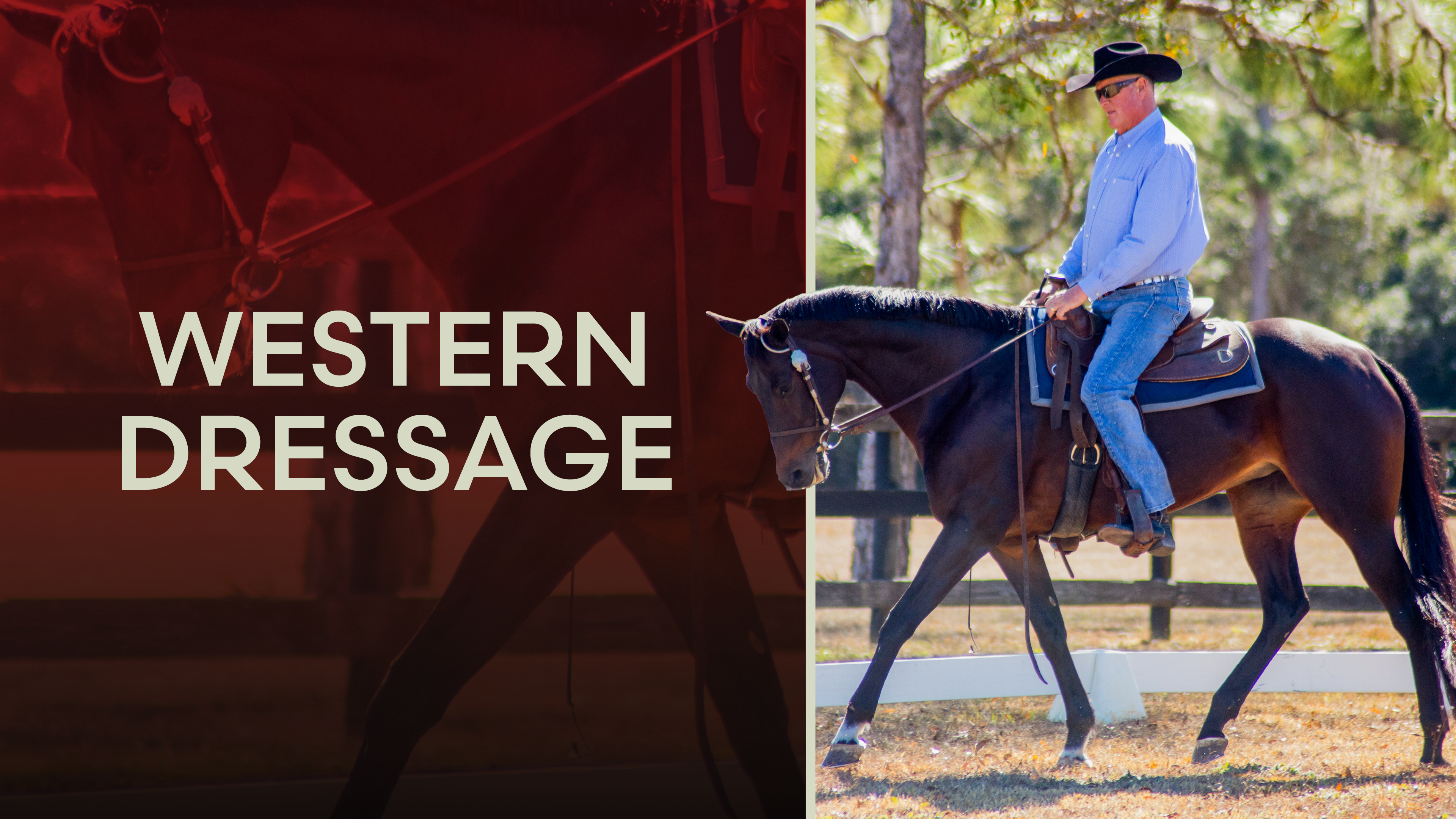 Western Dressage