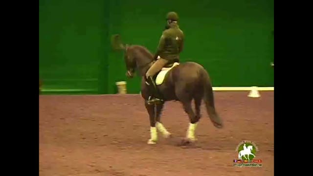 2009 Adequan/USDF Symposium | Jan Bri...