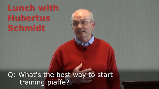 Introducing Piaffe | Hubertus Schmidt