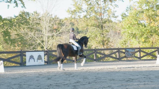 Schooling a Prix St. Georges Horse – ...