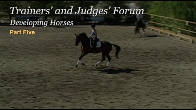 Developing Horses, Activity, Half Ste...