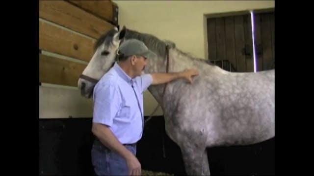 Shoulder Release, Body Work with Jim ...